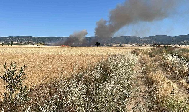 Yozgat'ta 20 dönüm ekili alan kül oldu