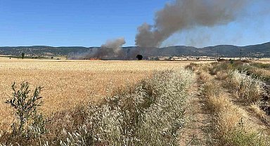 Yozgat'ta 20 dönüm ekili alan kül oldu