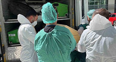 Yozgat'ta 72 yaşındaki E.G., kene nedeniyle hayatını kaybetti