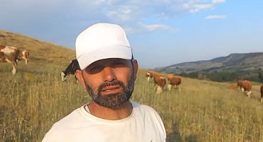 Yozgat'ta keneler görülmeye devam ediyor