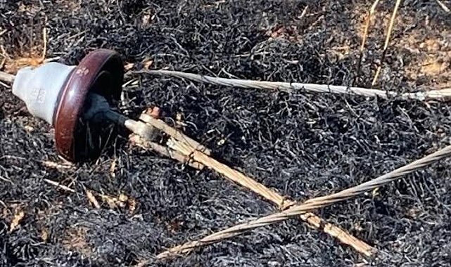 Yüksek gerilim hattı koptu, buğday tarlası alev aldı