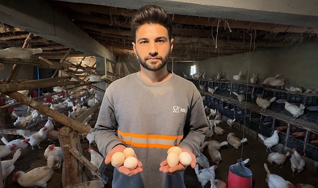 Yüksekovalı genç köyde kurduğu çiftlikle yumurta üretimine başladı