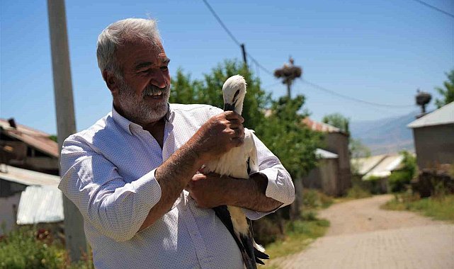 Yuvadan düşen leylek yavrusu koruma altına alındı