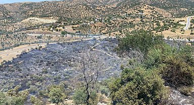 Zirai alan yangını büyümeden kontrol altına alındı