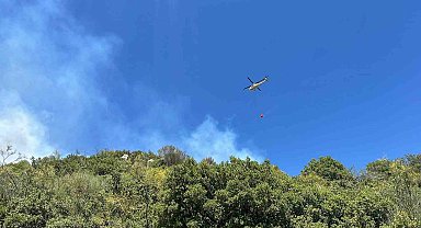 Zirai alanda başlayan yangın ormana sıçradı