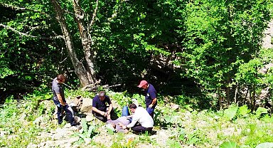 Zonguldak'ta 80 metreden şarampole devrilen otomobildeki 3 kişi yaralandı