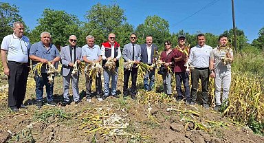 Zonguldak'ta ilk kez makineli sarımsak hasadı gerçekleştirildi