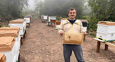 Zonguldak'ta ormangülü balında önemli üretim