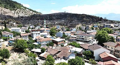 Zümrüt yeşili orman manzaraları kömürlüğe döndü