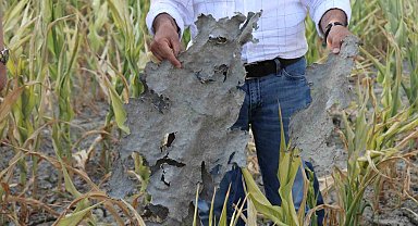 1.6 milyon cezaya çaptırılan Denizli DESKİ günün belli saatlerinde çiftçiye arıtılmamış su vermiş