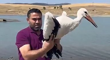 3 ay önce yaralı teslim alınan leylek sağlığına kavuştu, doğaya bırakıldı