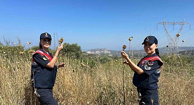 'Tülüşah' bitikisine zarar veren 557 bin lira ceza ödeyecek