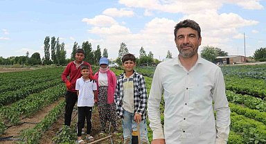 40 dereceyi bulan sıcaklarda mevsimlik işçilerin mücadelesi