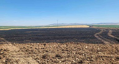40 dönümlük buğday tarlasında korkutan yangın