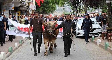 44. Kafkasör Festivali boğalı kortej yürüyüşüyle başladı