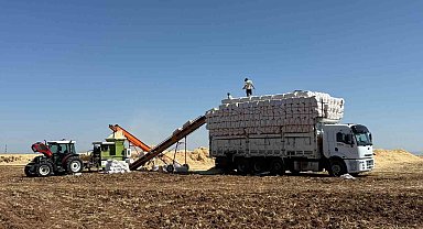 45 derece hissedilen sıcak havada saman yüklüyorlar