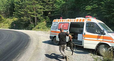 8 metre derinliğindeki rögara düşen köpekler kurtarıldı