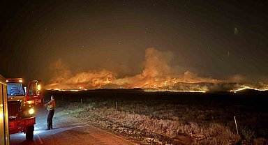 ABD'de orman yangını: 52 bin dönümden fazla alan kül oldu