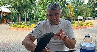 Aç ve susuz kalan yavru kargayı elleriyle besledi