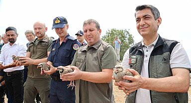 Adana'da doğaya 500 keklik salındı
