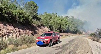 Adana'da orman yangını