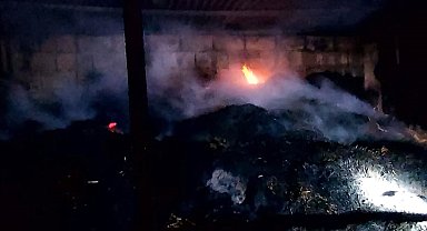 Adana'da yangında 5 inek telef oldu