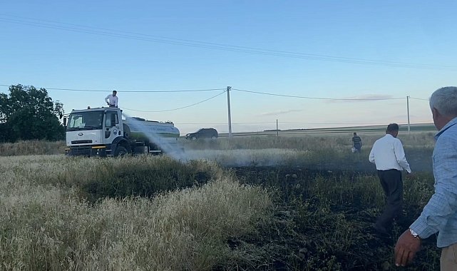 Adilcevaz'da tarlada çıkan yangın korkuttu
