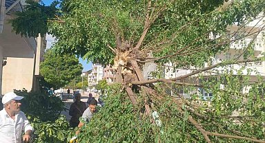 Adıyaman Gölbaşı'nda fırtına etkili oldu