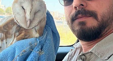 Adıyaman'da bitkin halde Bayağı Peçeli Baykuş bulundu