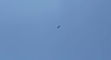 Adıyaman'da F16 savaş uçağı nefes kesti