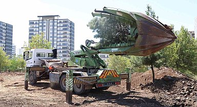 Ağaçlar zarar verilmeden ormanlık alana taşındı