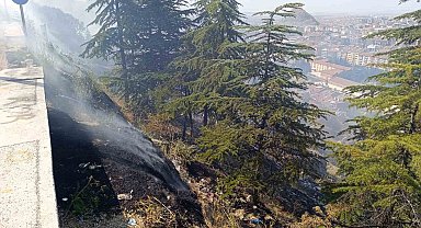 Ağaçlık alandaki yangın paniğe neden oldu
