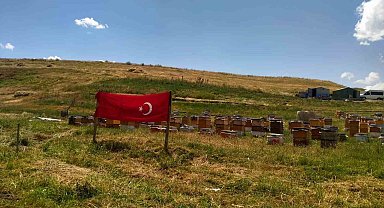 Ağrı ay yıldızlı bayraklarla donatıldı