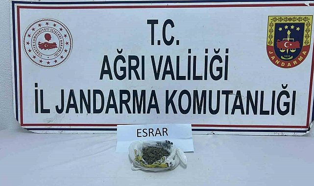 Ağrı'da uyuşturucu operasyonu: 511 kök kenevir ve 50 gram esrar ele geçirildi