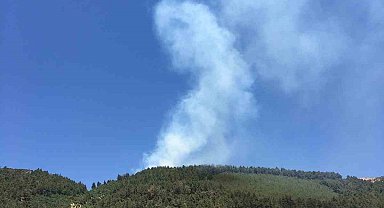 Ahır Dağı'nda bahçe yangını