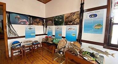 Akçakoca sualtı dünyası