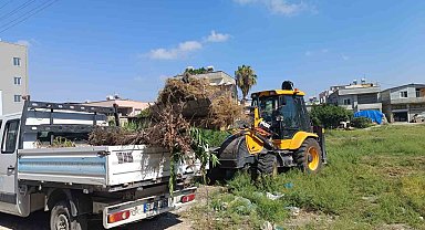 Akdeniz'de moloz ve yabani ot temizliği sürüyor
