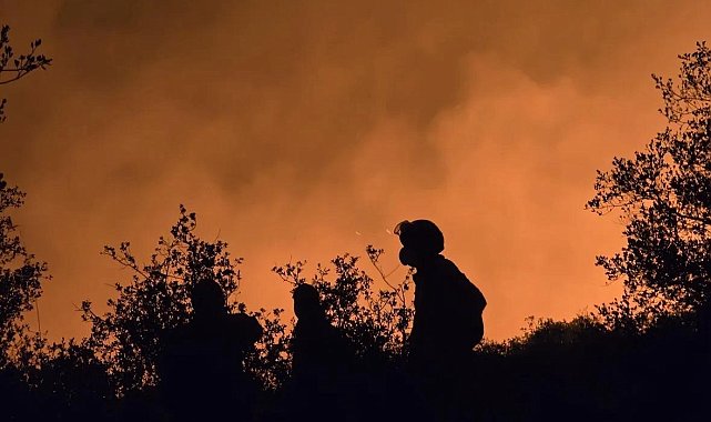 AKUT Eskişehir ekibi yanmak üzere olan hayvanları kurtardı