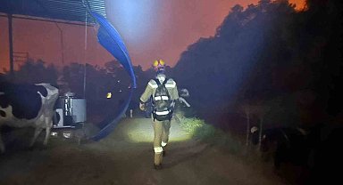 AKUT Kuşadası, İzmir'deki orman yangınlarına müdahale çalışmalarına destek veriyor