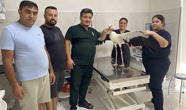 Alaşehir'de susuz kalan leylek kurtarıldı