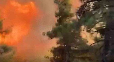 Alev kapanından son saniyeye kadar çıkmadılar
