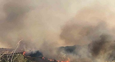 Aliağa'da otluk alanda yangın