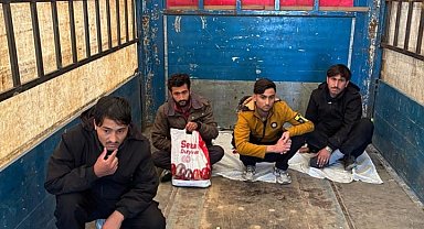 Amasya'da tırın dorsesinde 4 kaçak göçmen yakalandı