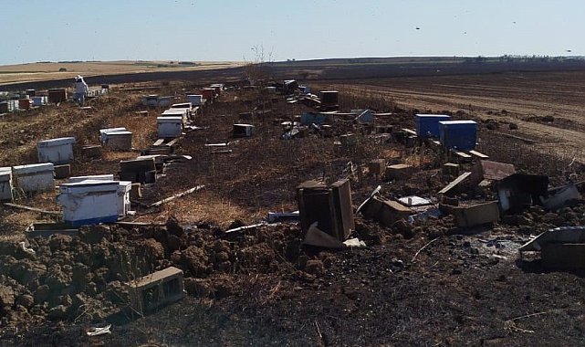 Anız yangını 400 arı kovanını kül etti