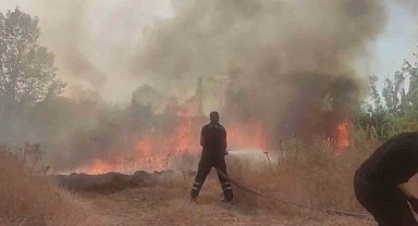 Anız yangını ağaçlık alana sıçradı