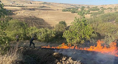 Anız yangını bahçelere sıçradı