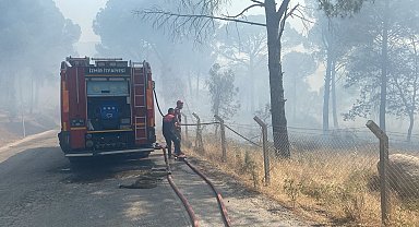 Anız yangını ormana sıçradı, 16 hektar kül oldu