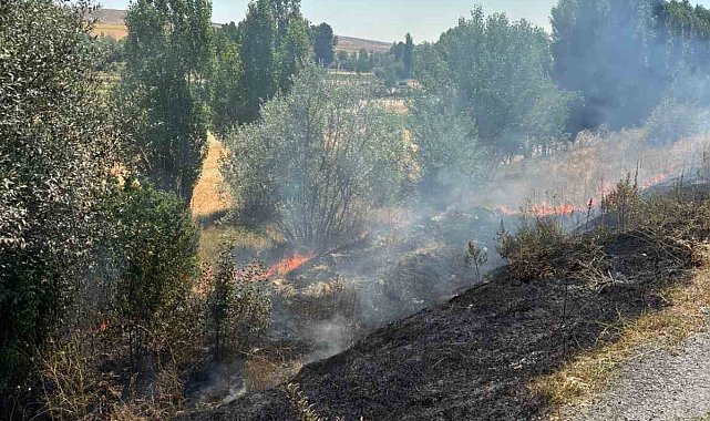 Anız yangınında 10 dönüm arazi yandı