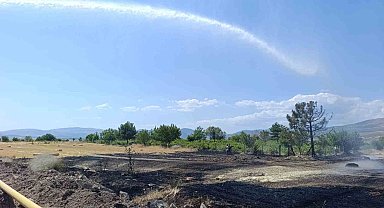 Ankara'da 40 dönüm ekili arazi yandı