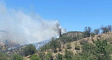 Ankara'da ormanlık alanda yangın çıktı